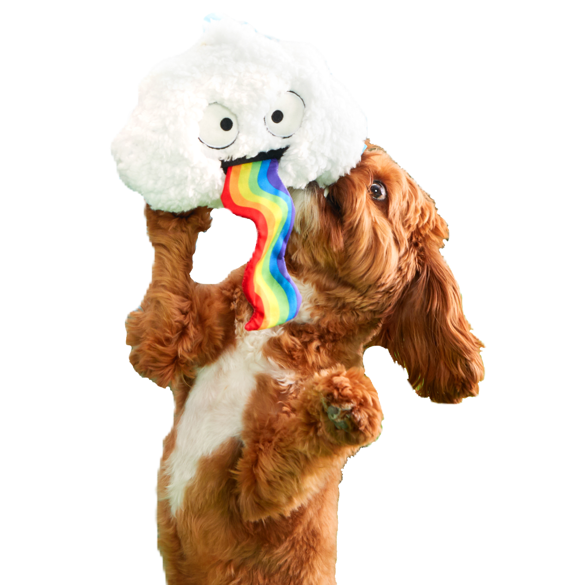 Loud and Proud Cloud Plush Tug Dog Toy