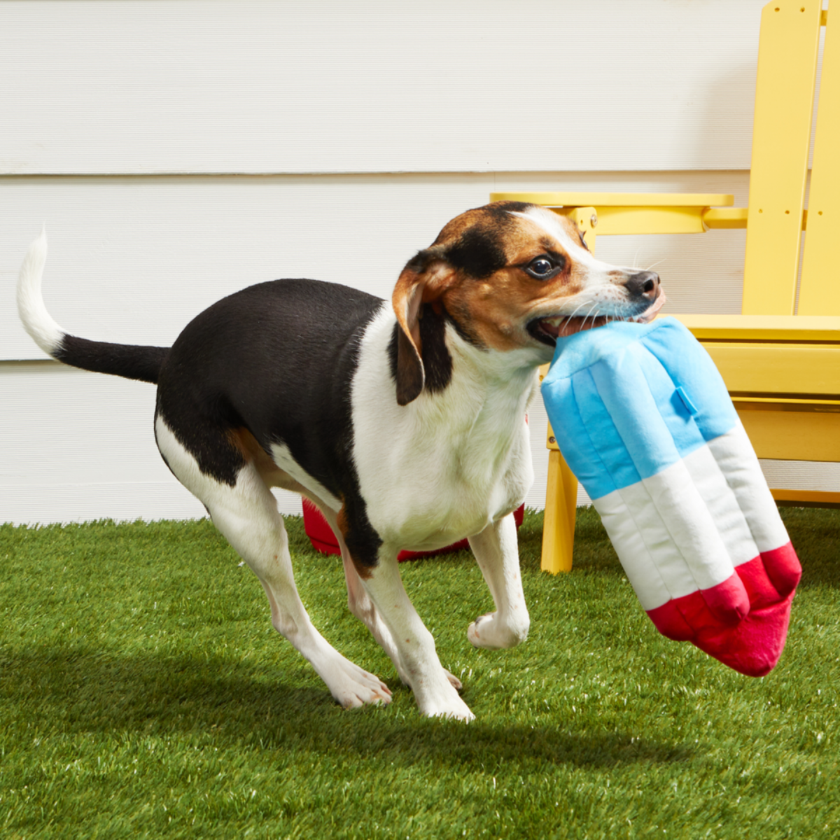 Extra-Large Toy Club, Monthly Plush XL Dog Toys