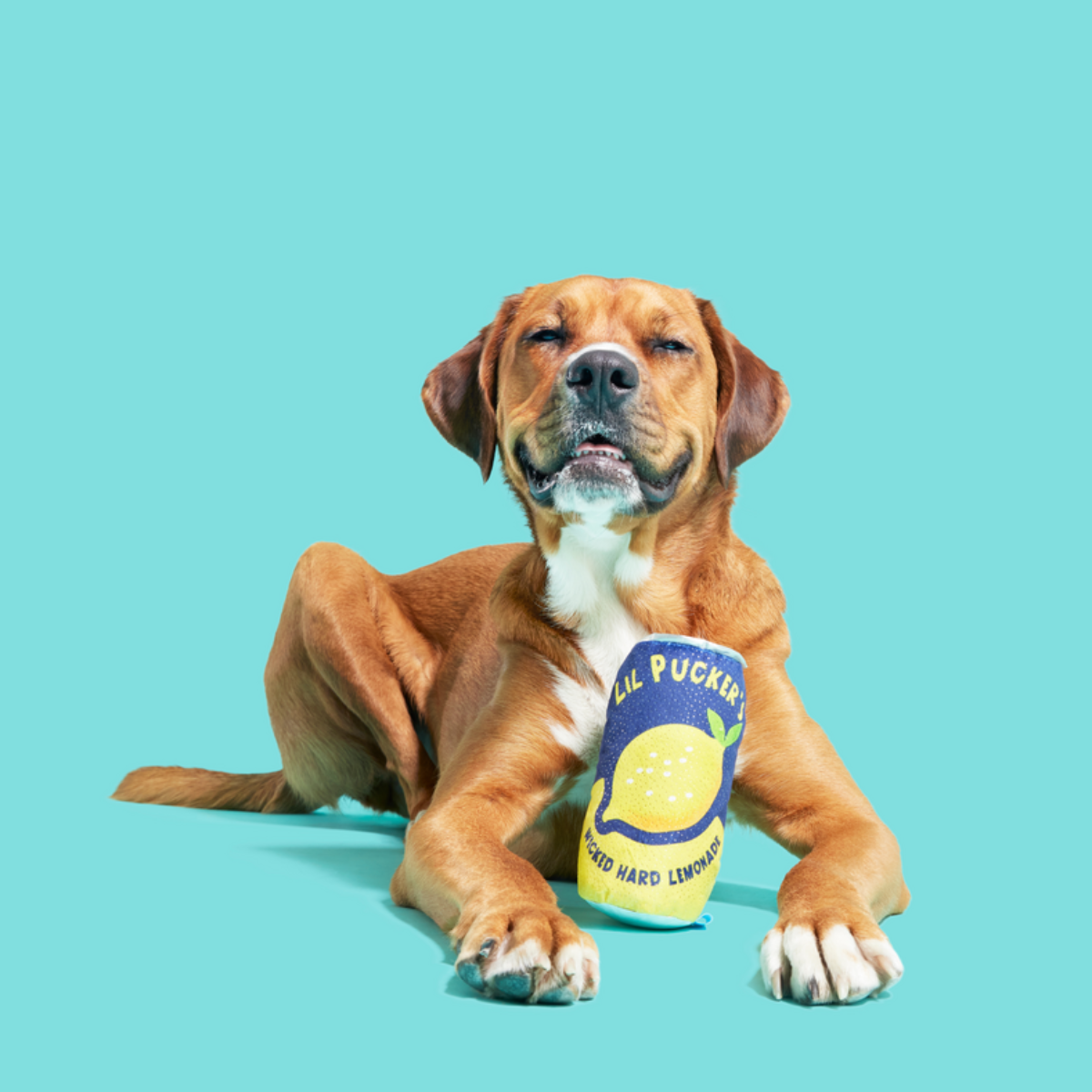 Lil' Pucker's Plush Dog Toy