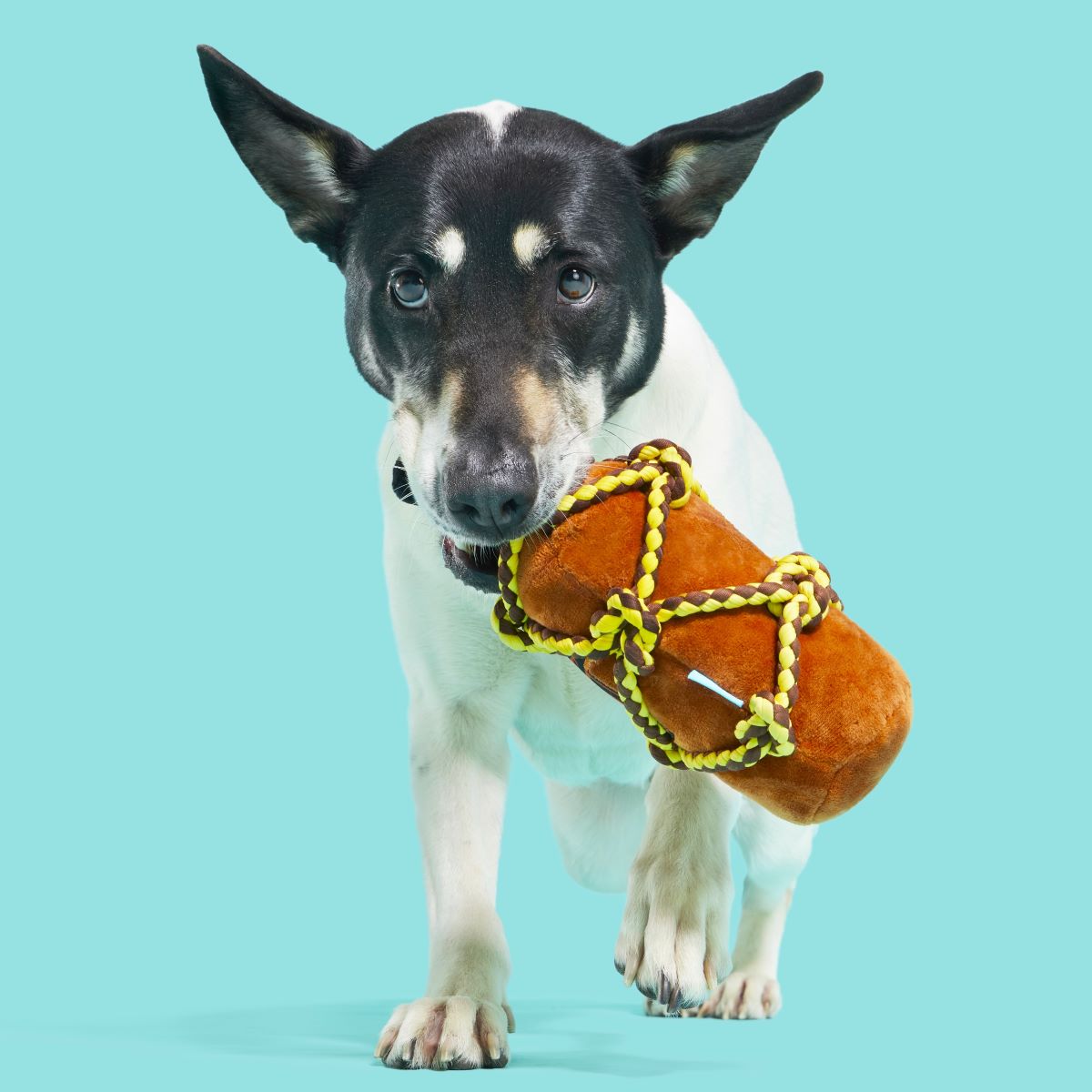 Barkbeard's Rum