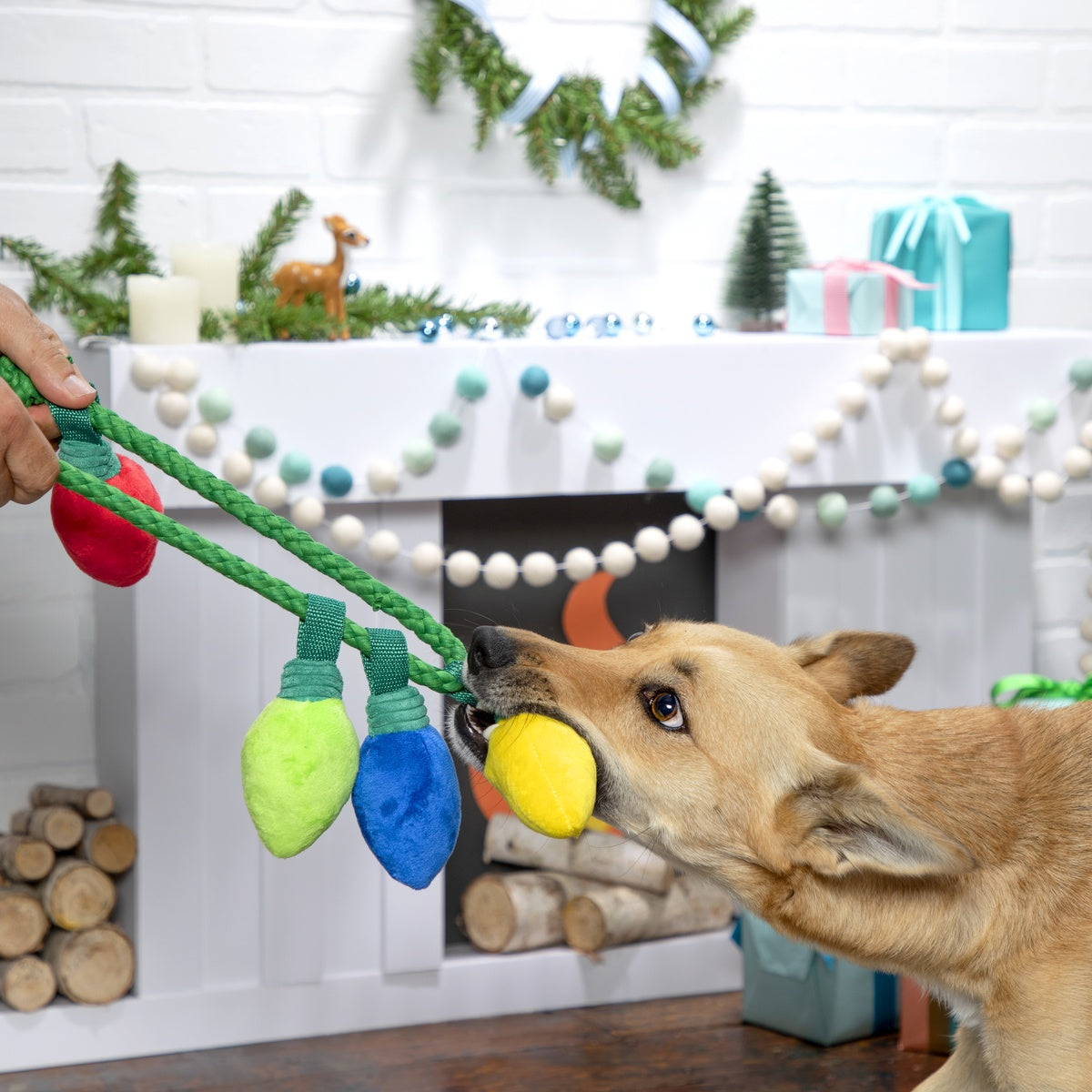 Watt A DeLight Tug and Rope Plush Dog Toy