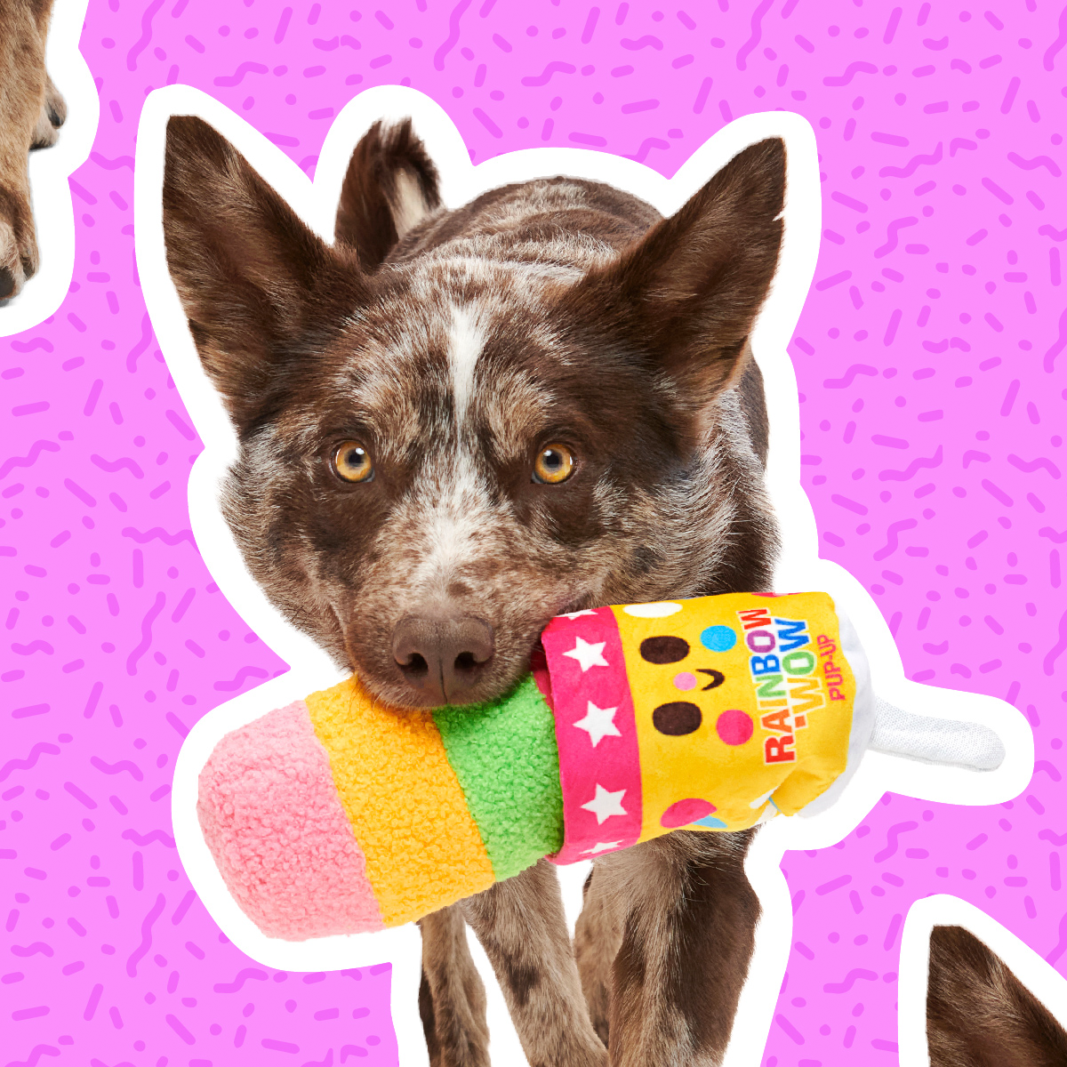 Junk Food Club, Plush Monthly Dog Toys