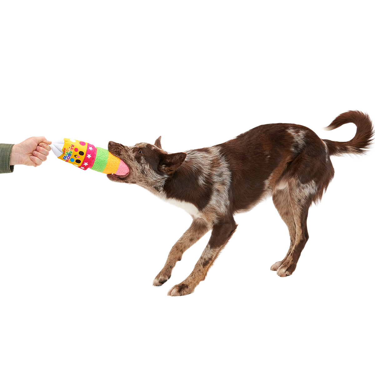 Junk Food Club, Plush Monthly Dog Toys