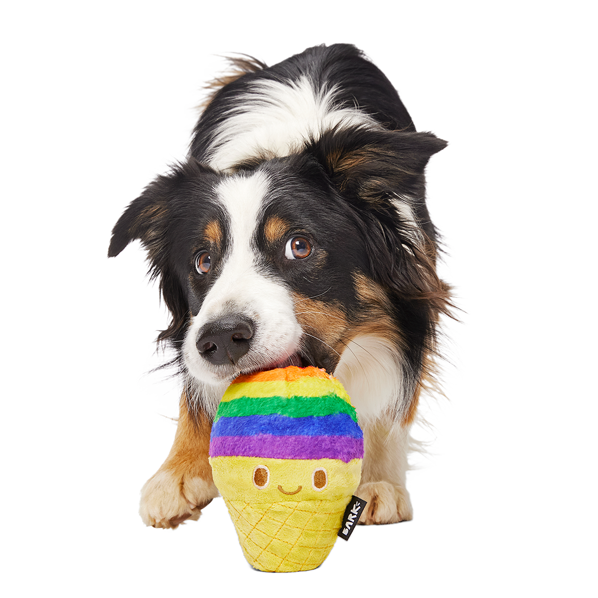 Rainbow-wow Sherbert Super Chewer Durable 2-in-1 Dog Toy