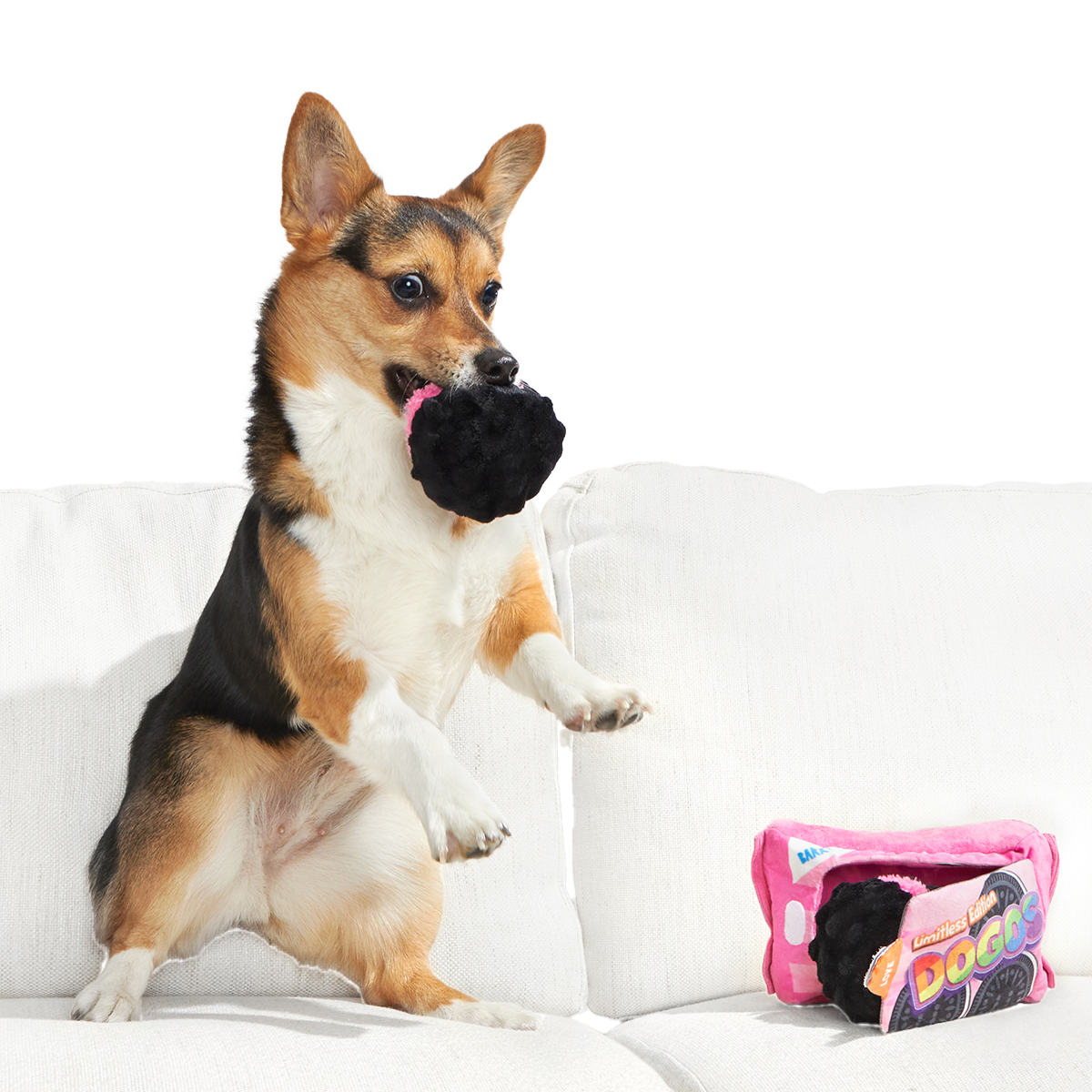 Rainbow Dogo Dunkers Plush Multi-Part + Enrichment Dog Toy