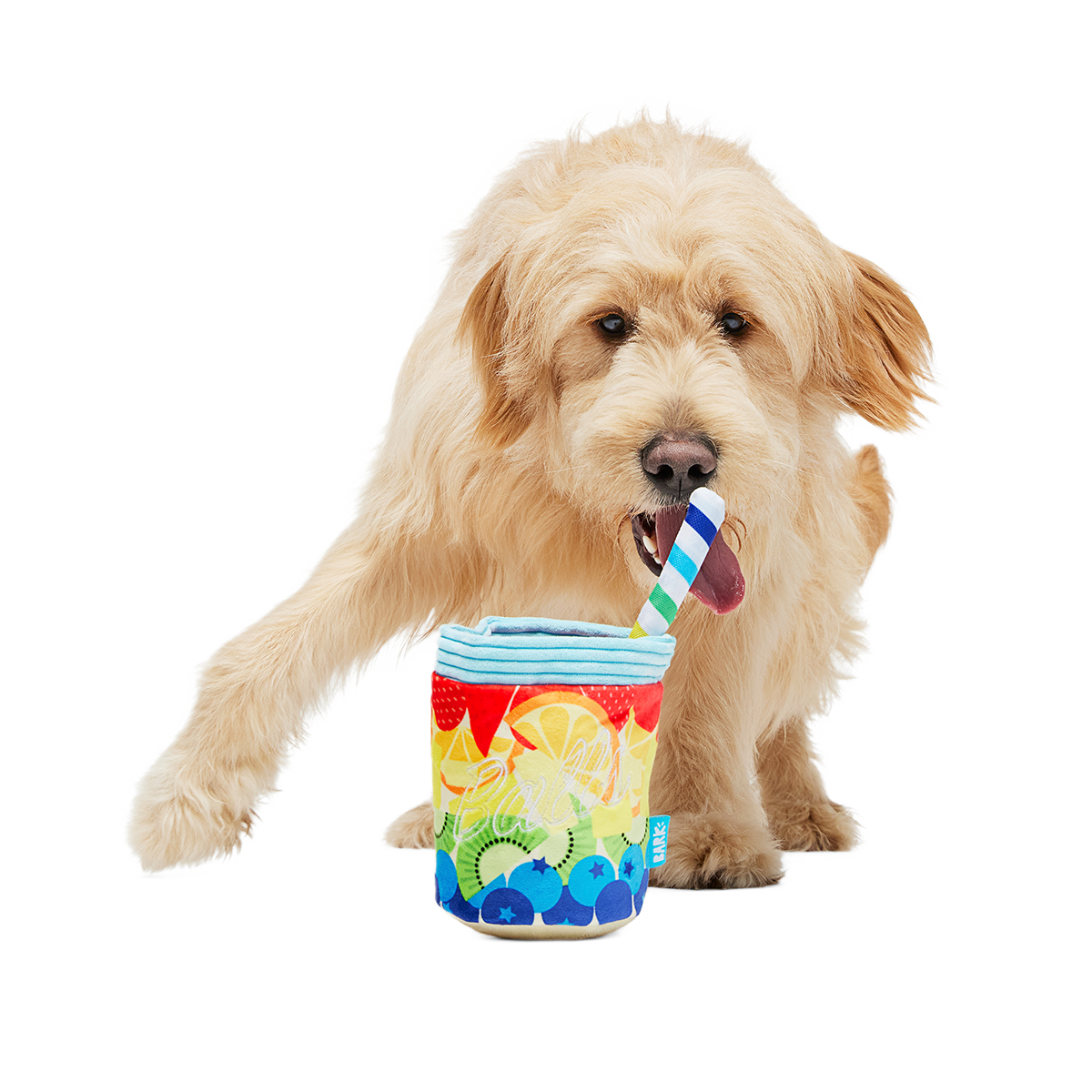 Cocktail Club, Plush Cocktail Monthly Dog Toys