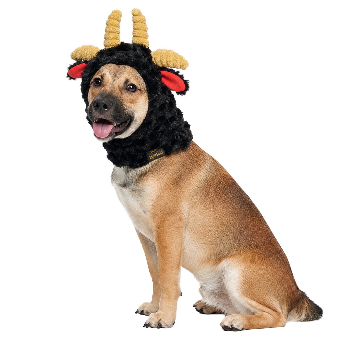 Ram Chop Snood Dog Hood