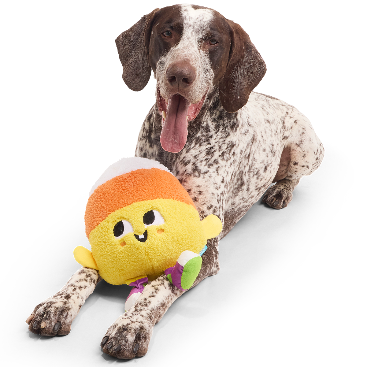 Randy Corn Plush Extra-Large + Tug Dog Toy