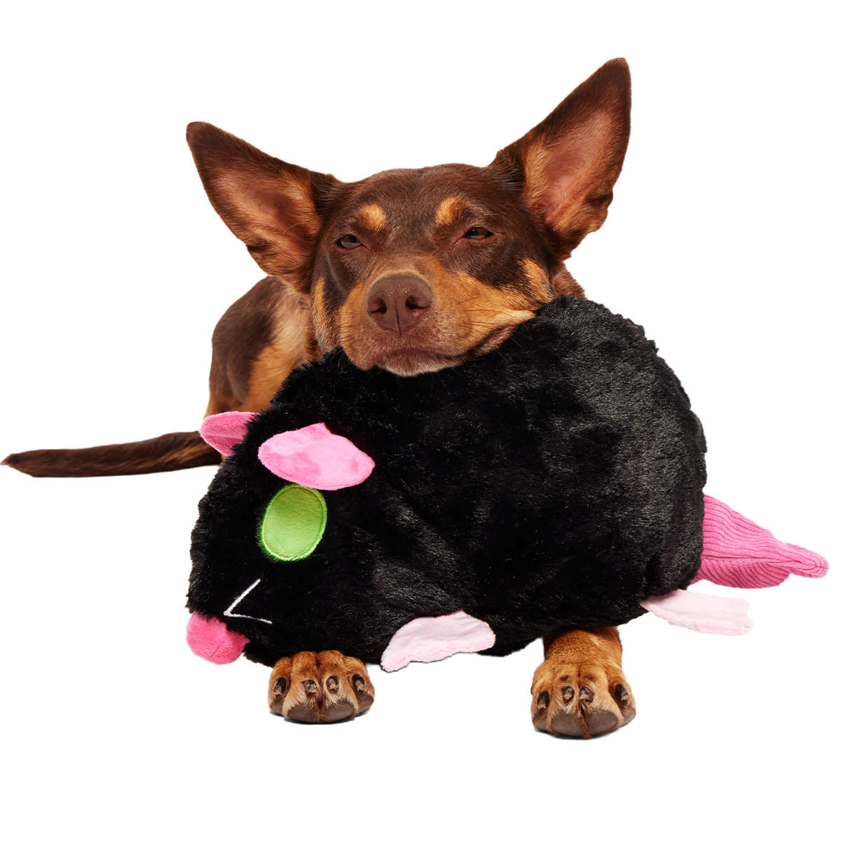 Rat-A-Chewy Plush Extra-Large 2-in-1 + Tug Dog Toy