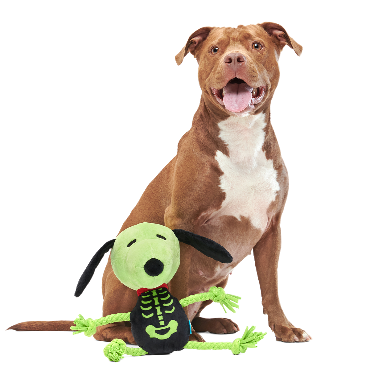 Rattling Bones Beagle Plush Extra-Large + Tug Dog Toy