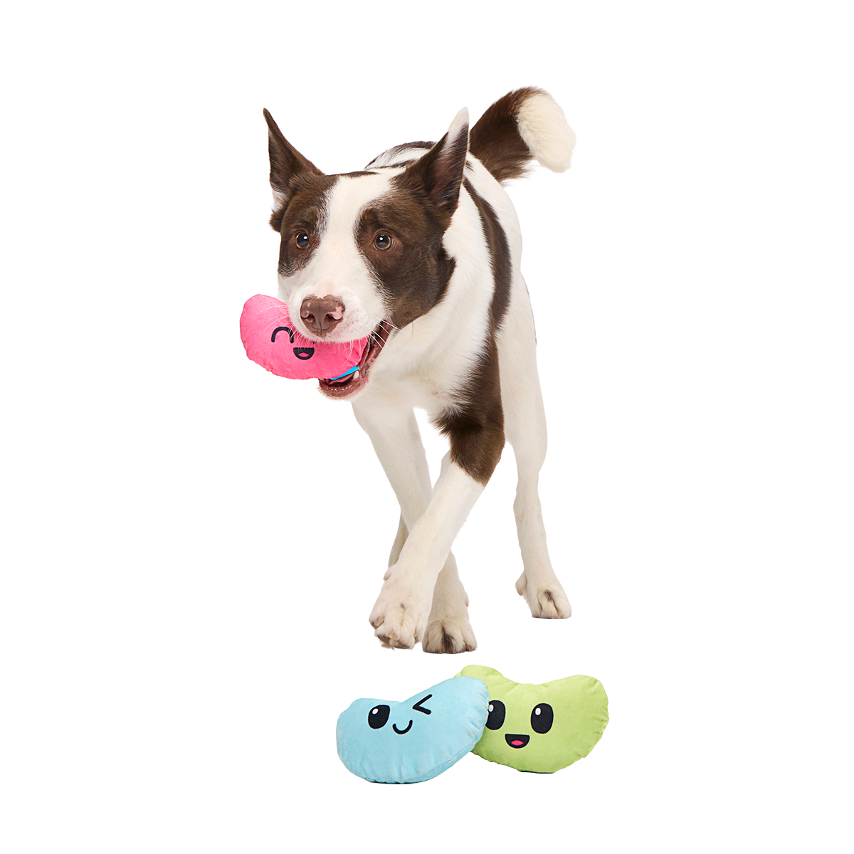 Re-Play Pack: Dr. Brindlecoat's Belly Beans Plush Multi-Part Dog Toy