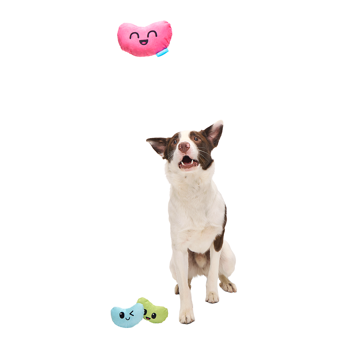 Re-Play Pack: Dr. Brindlecoat's Belly Beans Plush Multi-Part Dog Toy