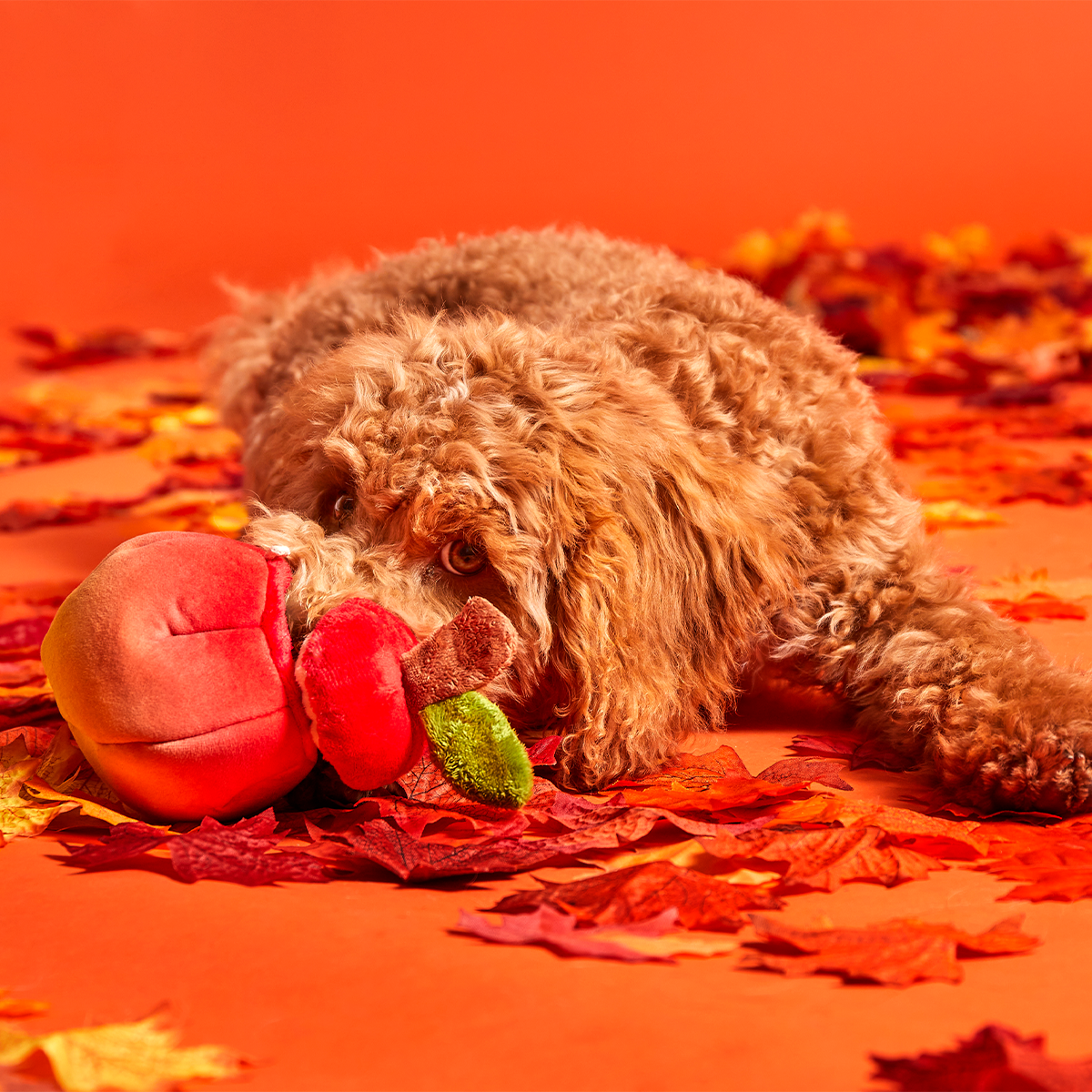 Red Malicious Plush Multi-Part + Enrichment Dog Toy