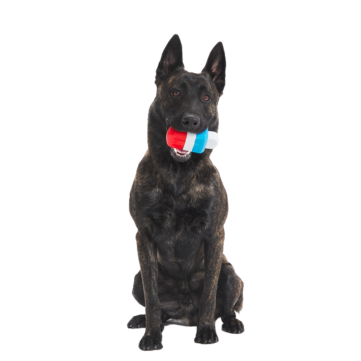 Red White + Chew Pupsicle Super Chewer Durable Gnaw Dog Toy