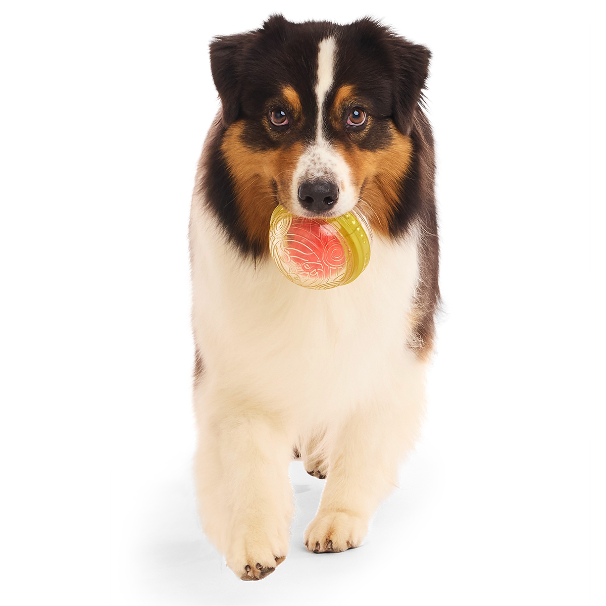 Remembrall™ Super Chewer Durable Fetch Dog Toy