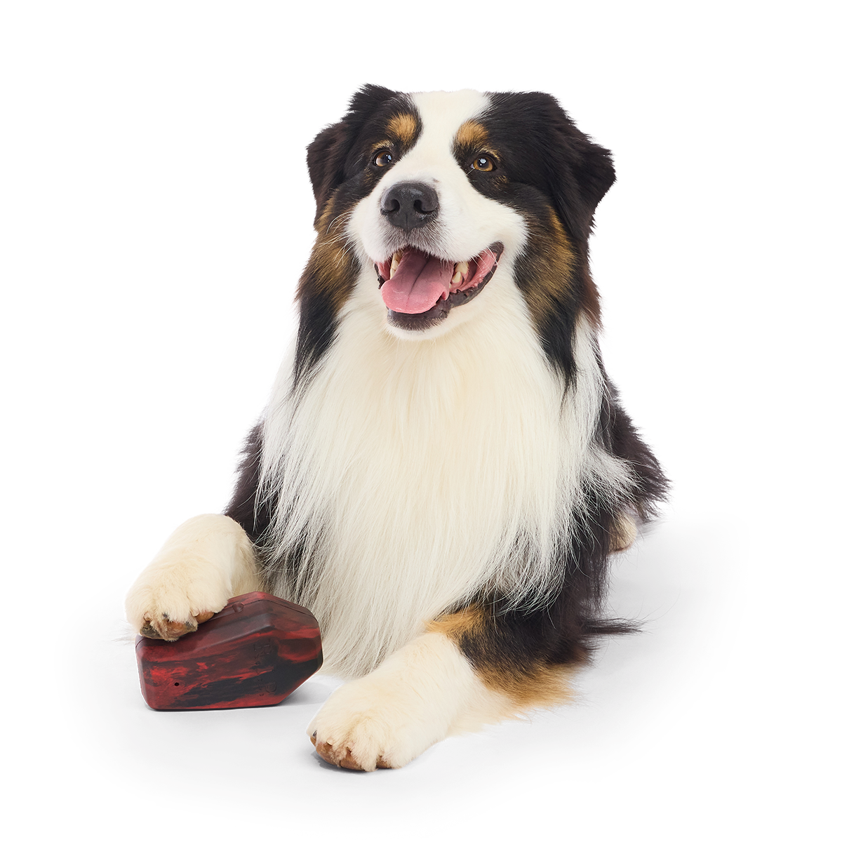 Rest In Treats Super Chewer Durable Enrichment Dog Toy