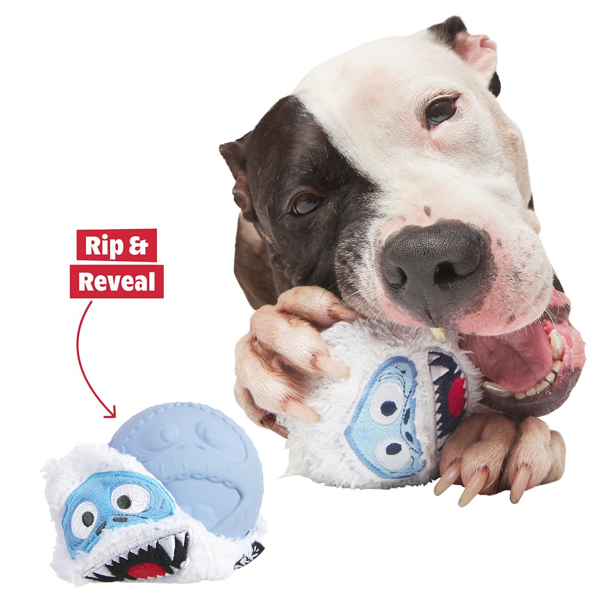 Rudolph® Holiday Super Chewer Gift Box#Assortment_No Extra Toy #Dog Size_L