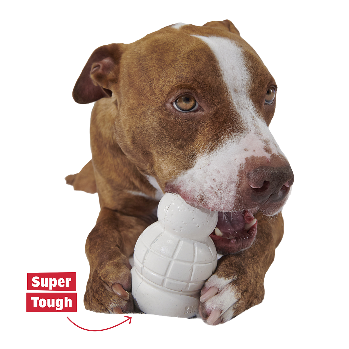 Rudolph® Holiday Super Chewer Gift Box#Assortment_Double Deluxe #Dog Size_M