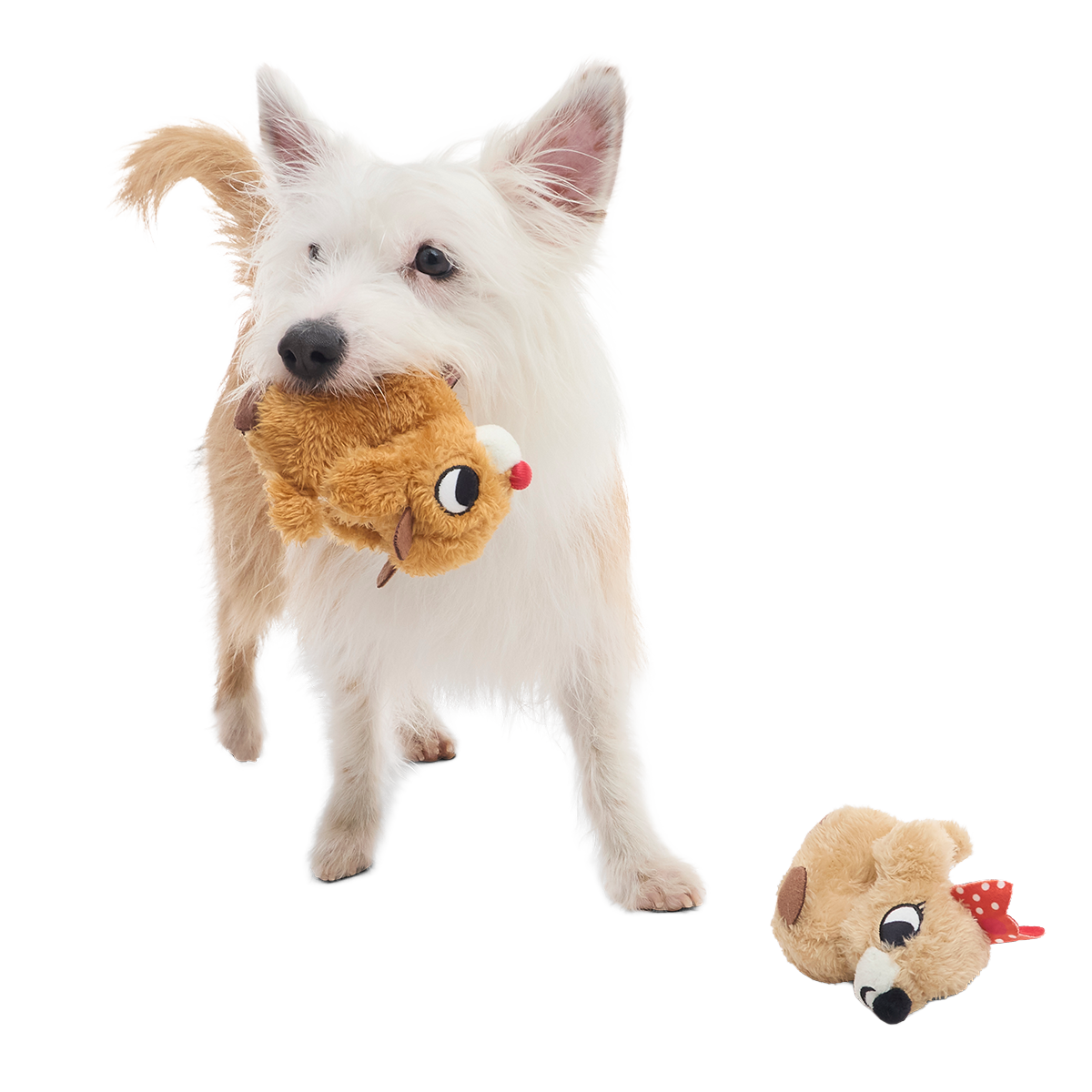 Rudolph® & Clarice™ Plush Multi-Part Dog Toy