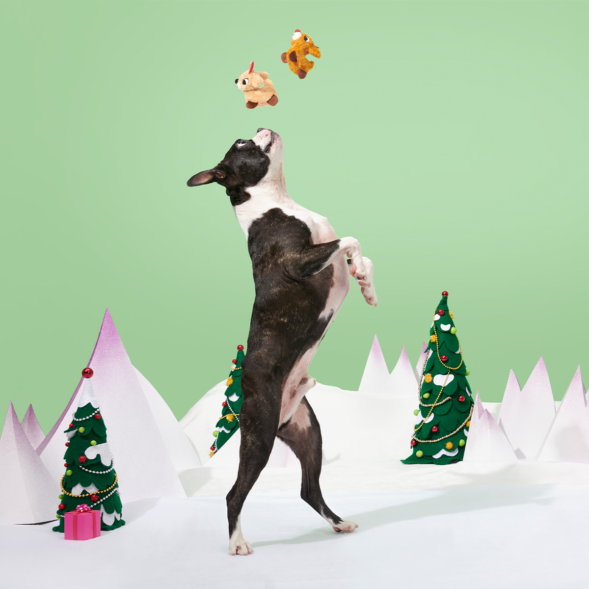 Rudolph® & Clarice™ Plush Multi-Part Dog Toy