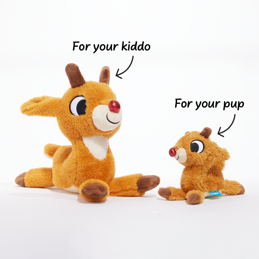 Runnin' Rudolph® Plush Multi-Part Kid + Dog Toy Bundle