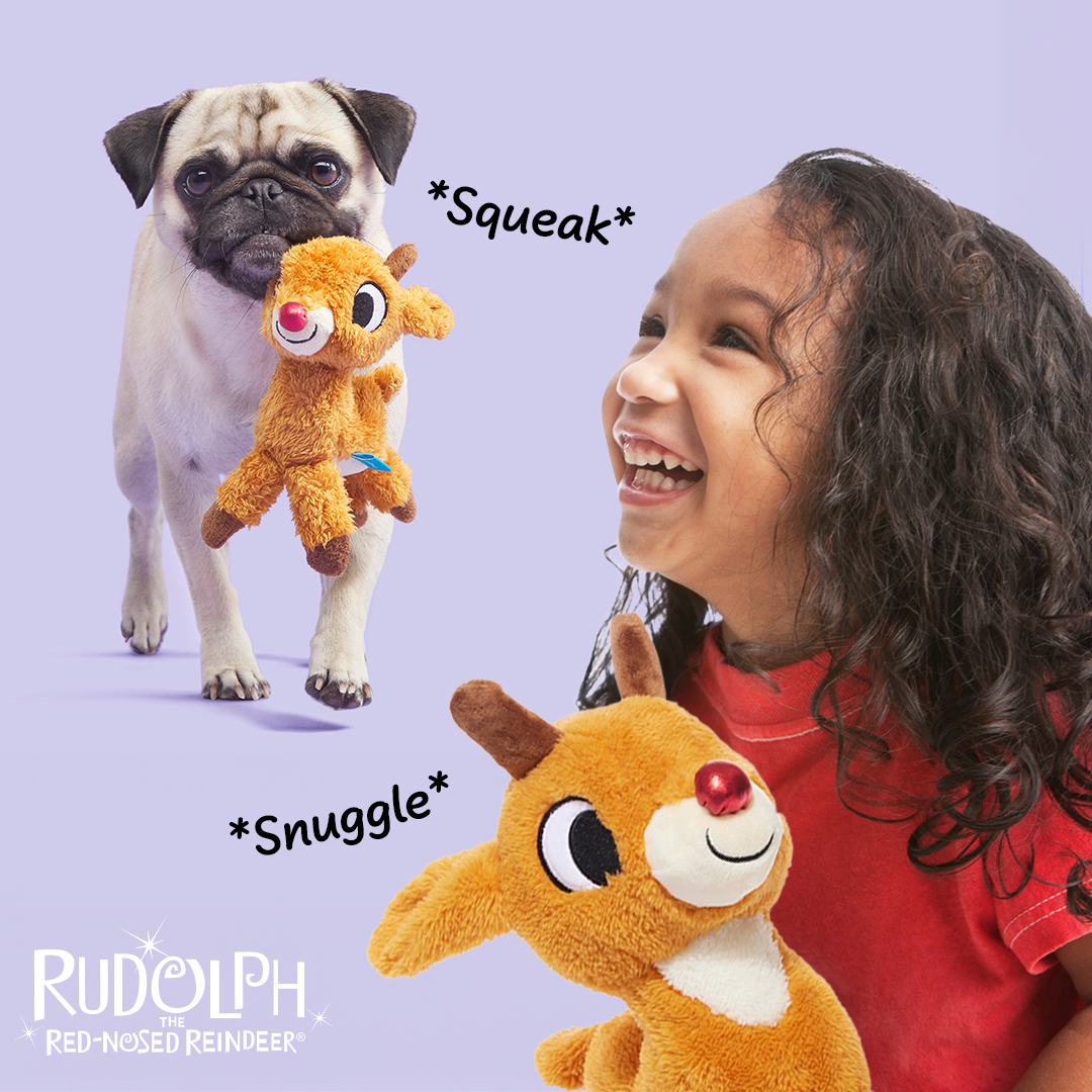 Runnin' Rudolph® Plush Multi-Part Kid + Dog Toy Bundle