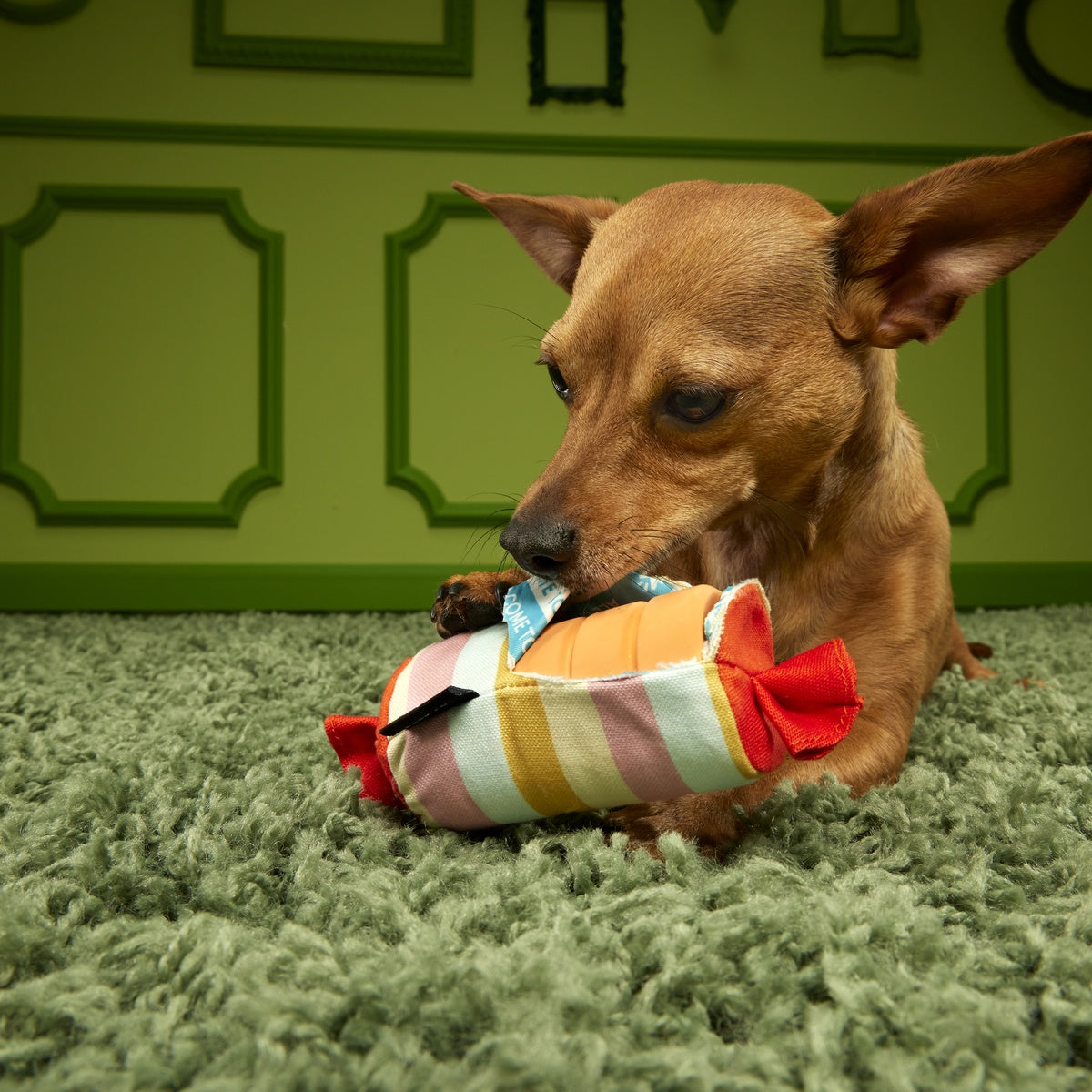 Throw-it-Alls Super Chewer Durable 2-in-1 + Enrichment Dog Toy
