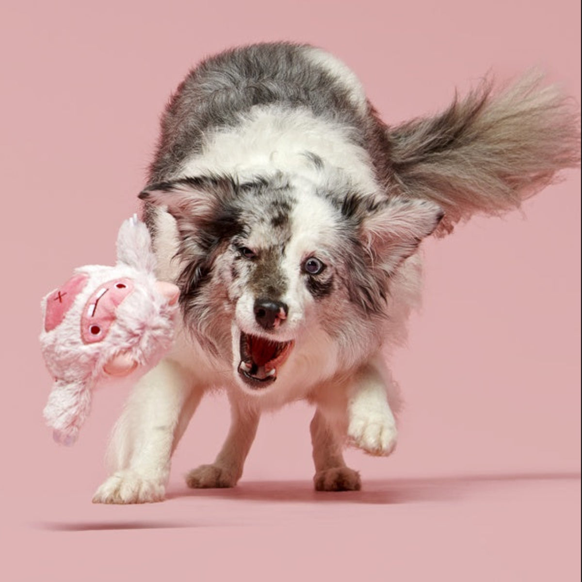 Snuglor Durable Super Chewer 2-in-1 Rip and Reveal + Enrichment Dog Toy