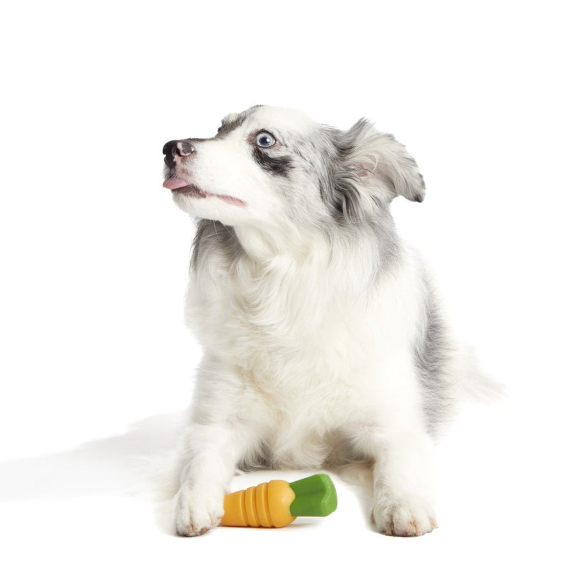 Carrot Durable Super Chewer Gnaw Dog Toy