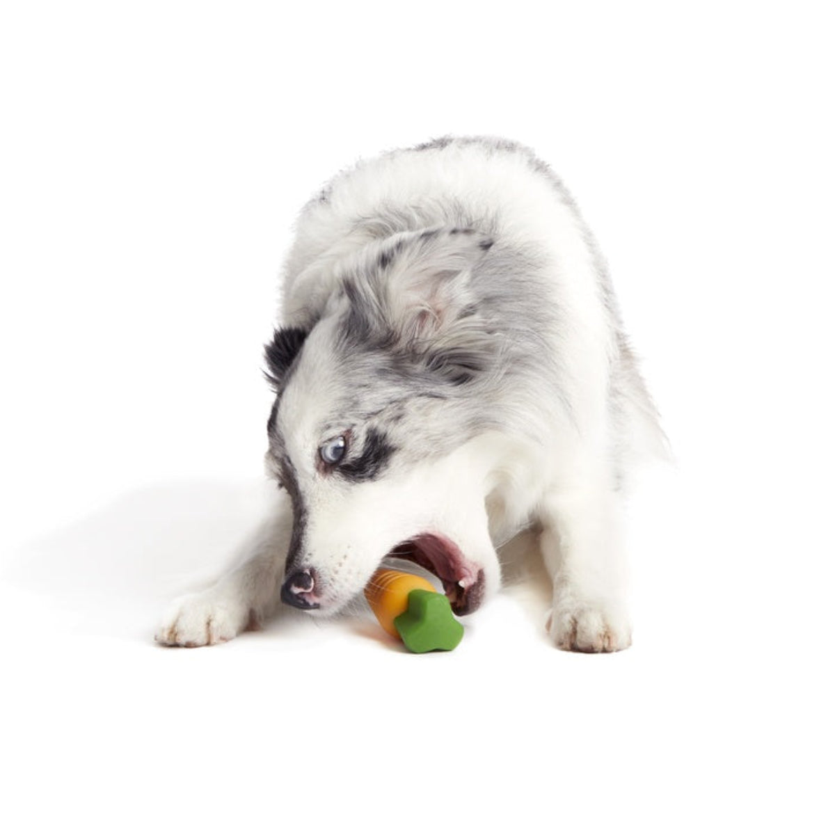 Carrot Durable Super Chewer Gnaw Dog Toy