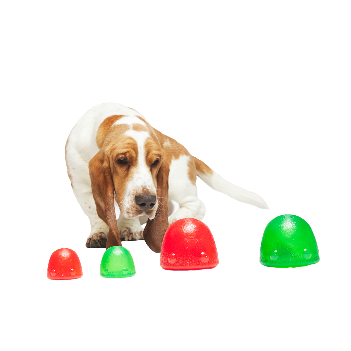 Goody Goody Gumdrops Super Chewer Durable Multi-Part + Enrichment Dog Toy