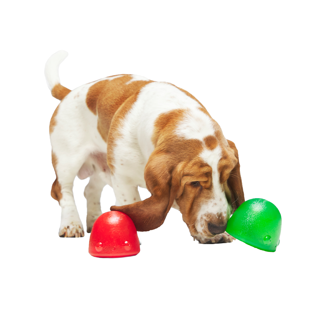 Goody Goody Gumdrops Super Chewer Durable Multi-Part + Enrichment Dog Toy
