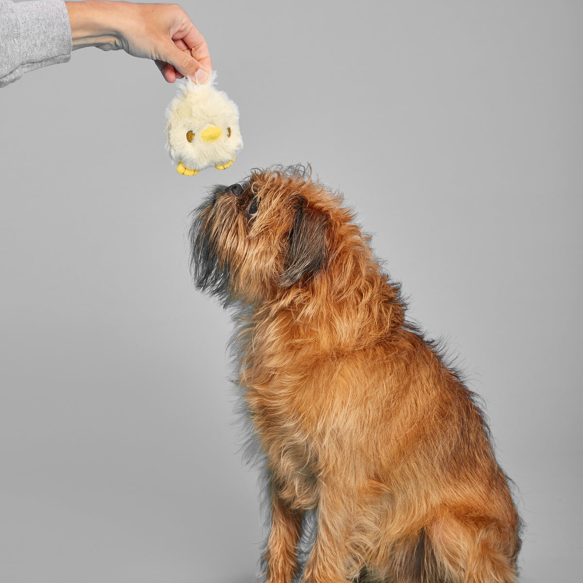 Tough Chick Super Chewer Durable 2-in-1 Dog Toy