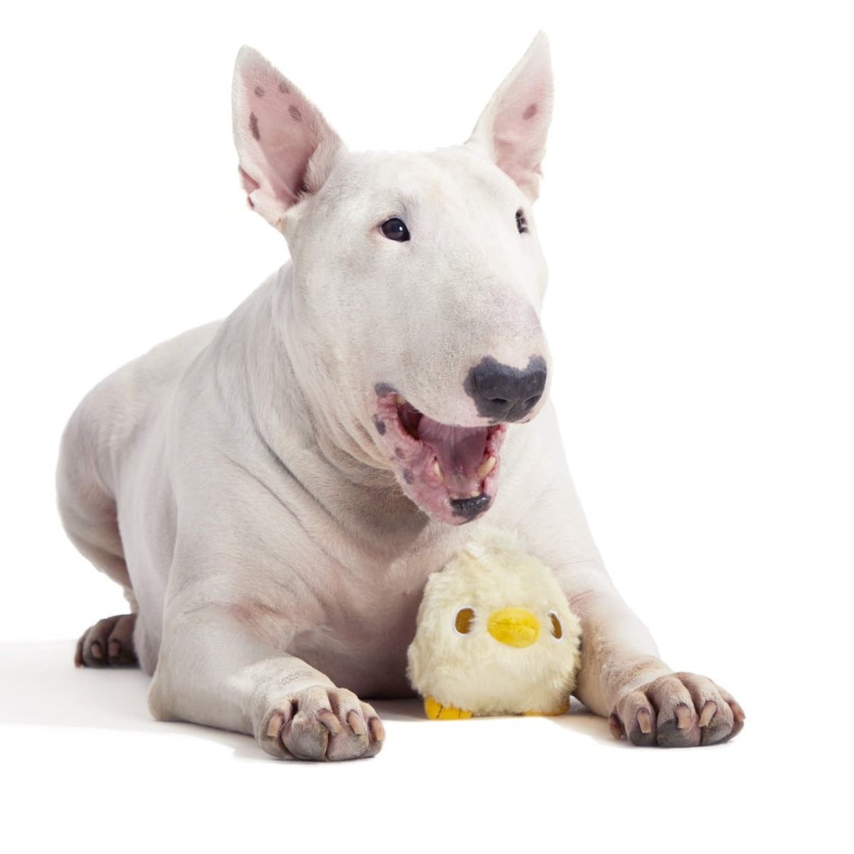 Tough Chick Super Chewer Durable 2-in-1 Dog Toy