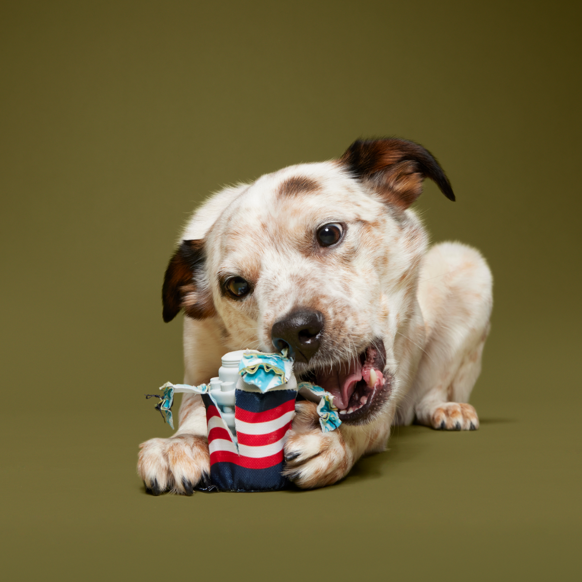 Nedry's Scheme Revealed Durable Super Chewer 2-in-1 Rip and Reveal Dog Toy