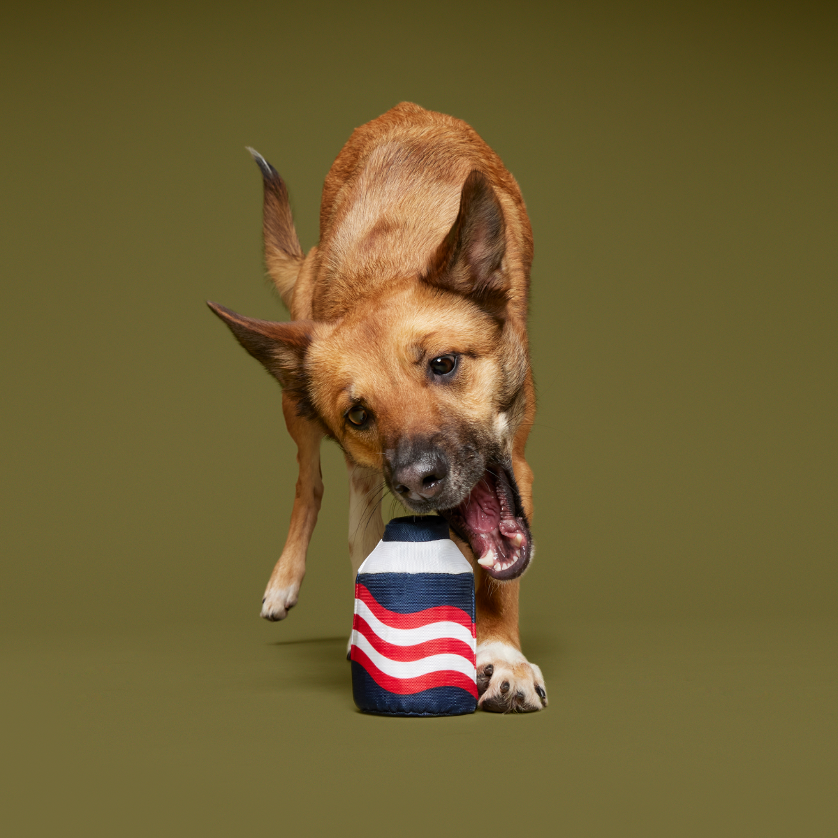 Nedry's Scheme Revealed Durable Super Chewer 2-in-1 Rip and Reveal Dog Toy