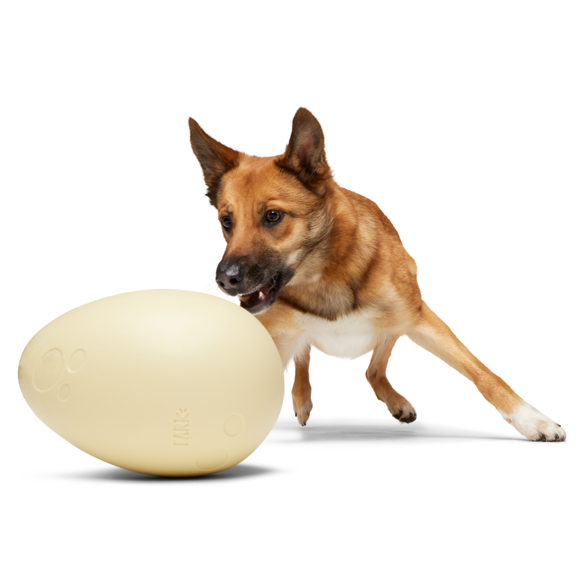 Dinosaur Egg XL Dog Toy – BARK