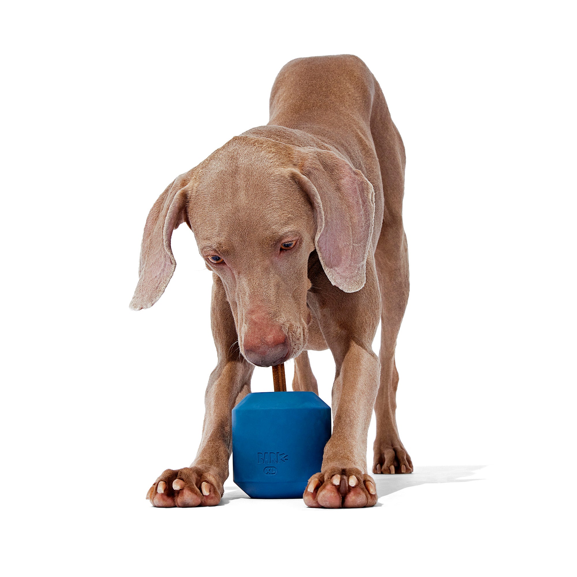 Tank Toy Super Chewer Durable Enrichment Dog Toy