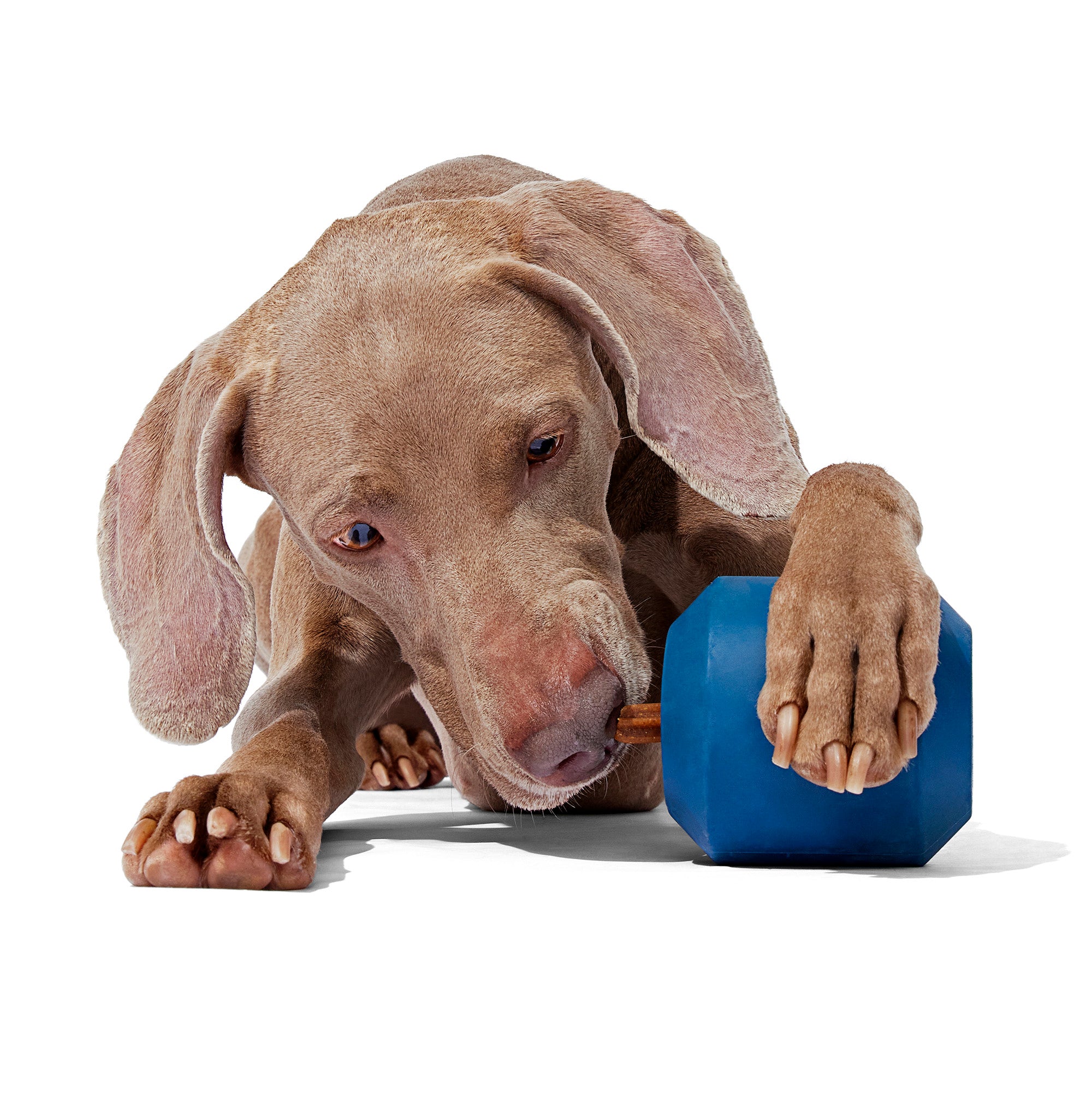 Tank Toy Super Chewer Durable Enrichment Dog Toy