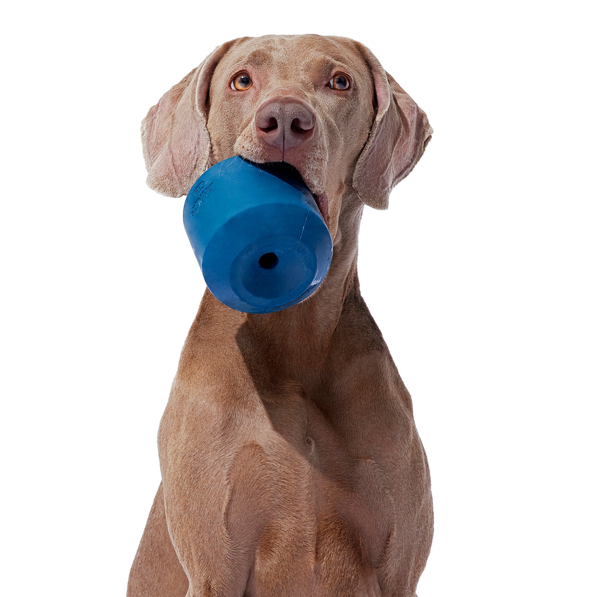 Tank Toy Super Chewer Durable Enrichment Dog Toy