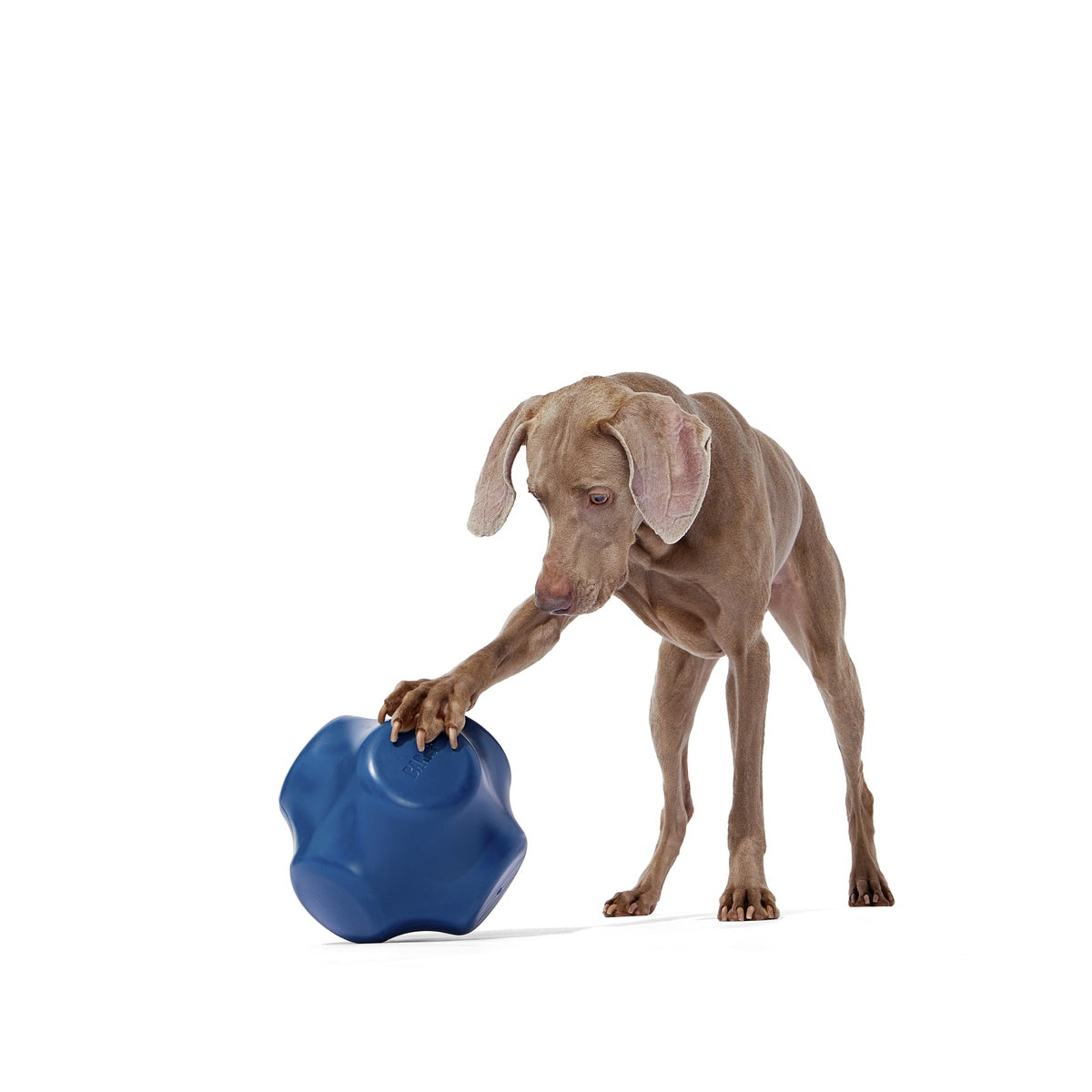 Bolder Super Chewer Durable Extra-Large Enrichment Dog Toy
