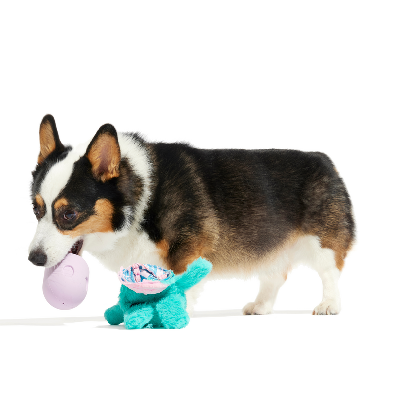 Lobu - Secret Monster Club