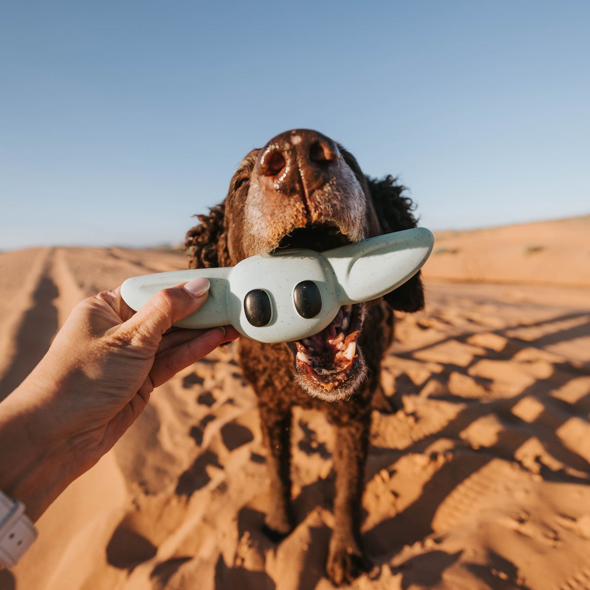 Chew and Chase Grogu™ Super Chewer Durable Gnaw Dog Toy