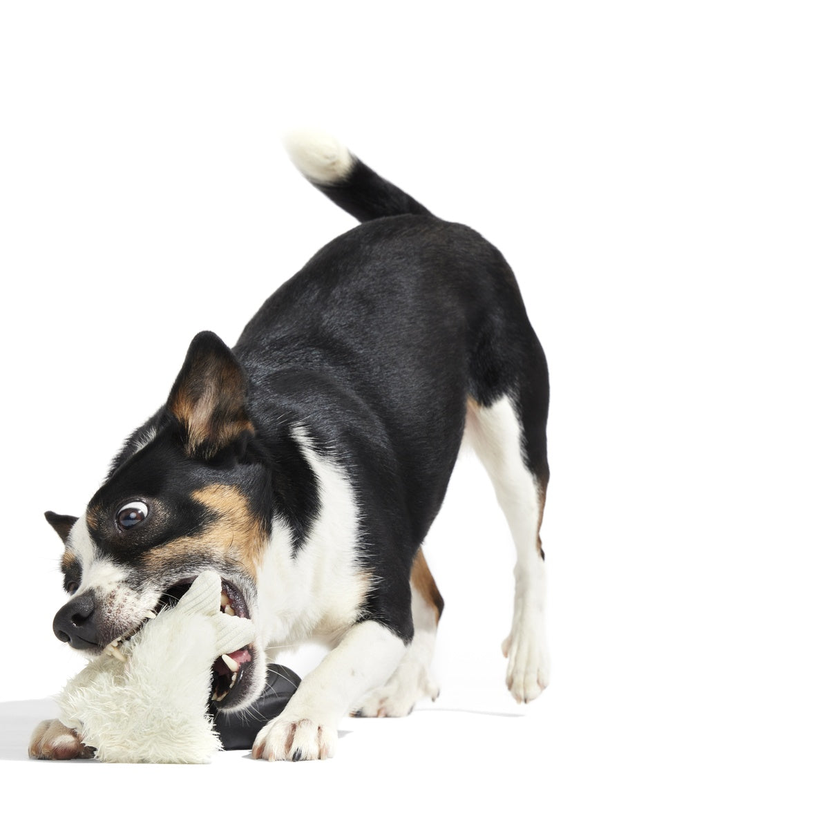 SC-ATB_213523_SEAL-MEAL-S_2064_cropped#Size_S