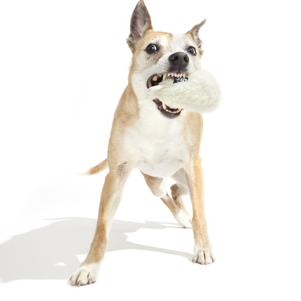 SC-ATB_213524_SEAL-MEAL-M_1056_cropped#Size_M