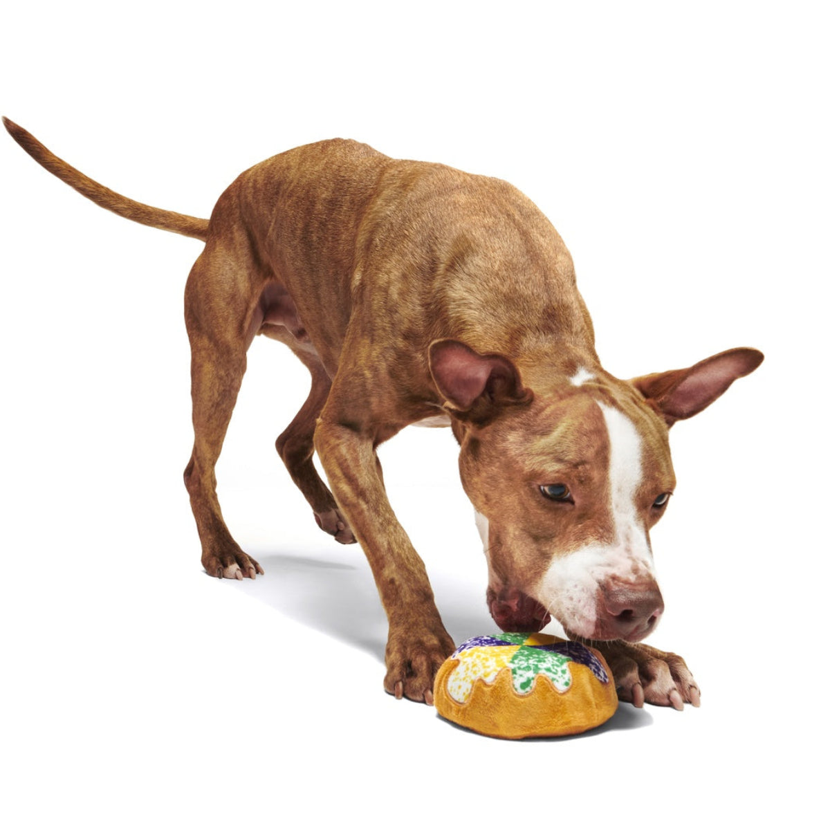 Mardi Paws King Cake Durable Super Chewer 2-in-1 Rip and Reveal + Enrichment Dog Toy