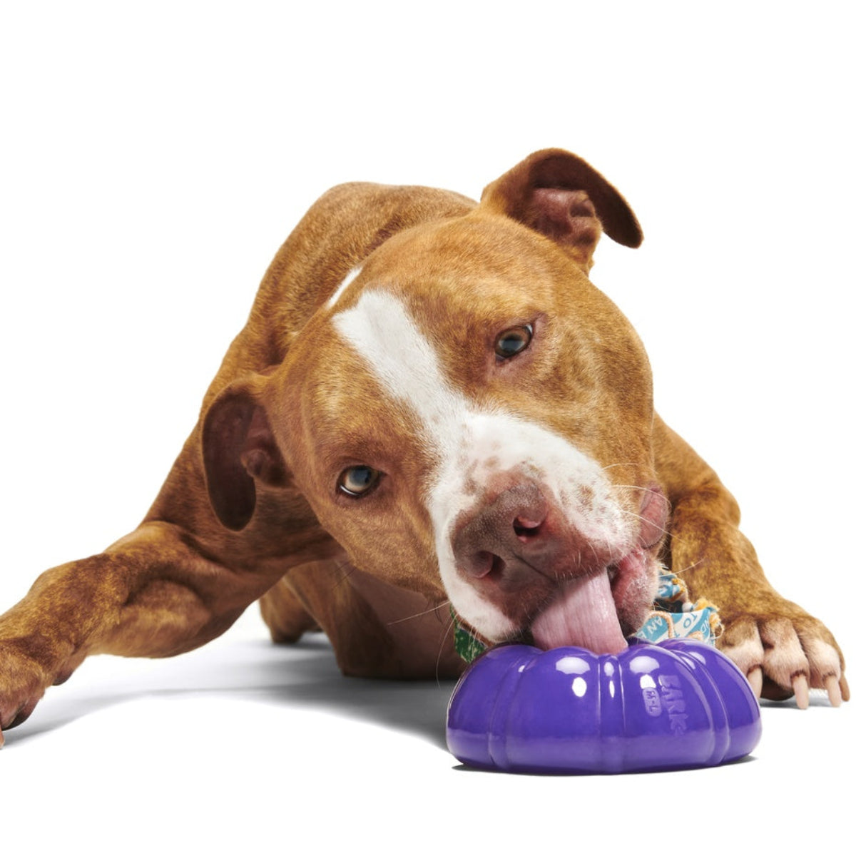 Mardi Paws King Cake Durable Super Chewer 2-in-1 Rip and Reveal + Enrichment Dog Toy