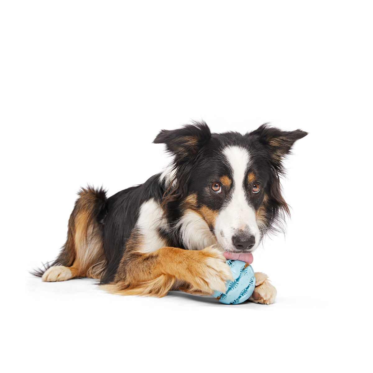 Jawball Super Chewer Durable Fetch + Enrichment Dog Toy