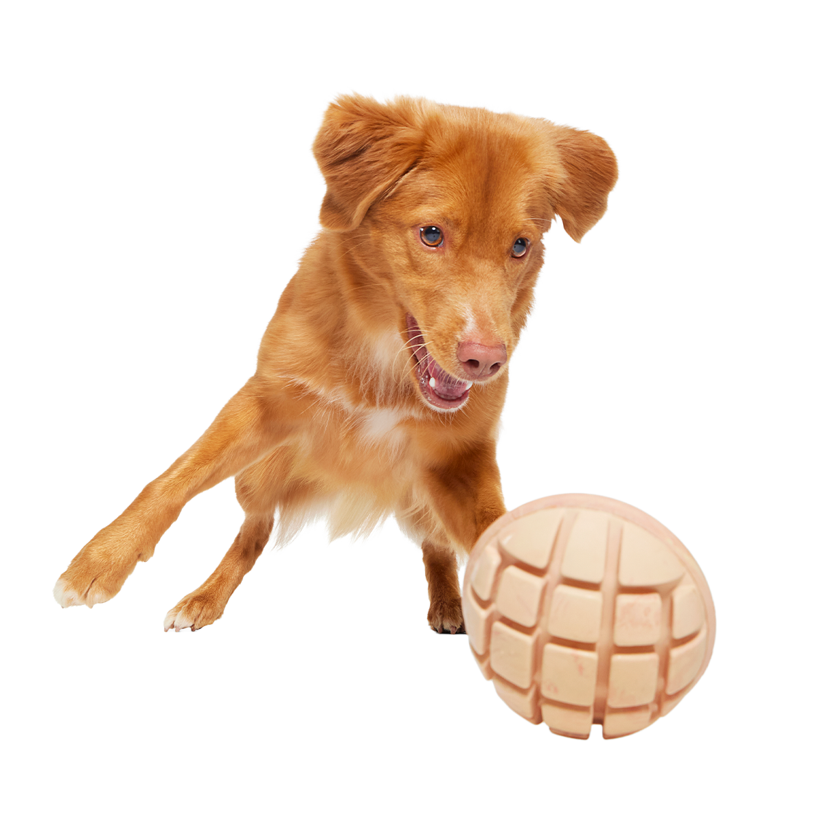 Mutterball Turkey Super Chewer Durable 2-in-1 + Tug + Enrichment Dog Toy