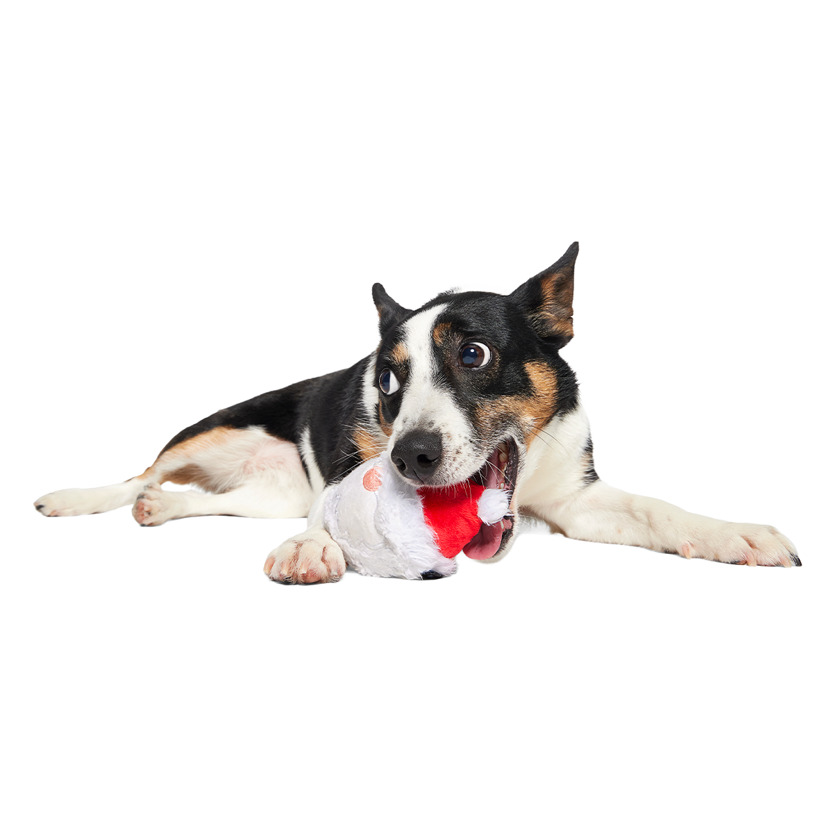 Secret Santa Super Chewer Durable 2-in-1 + Fetch Dog Toy